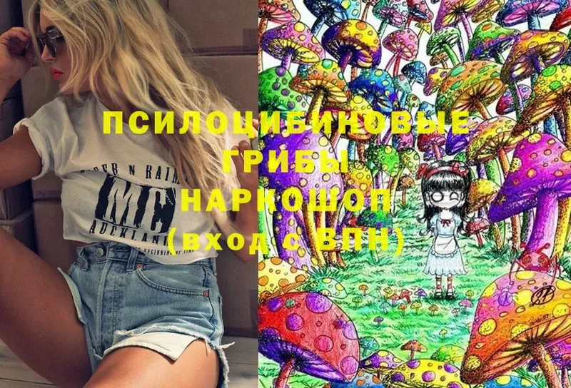 Псилоцибиновые грибы Magic Shrooms  Беслан 